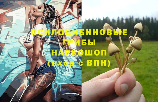 спайс Верхний Тагил