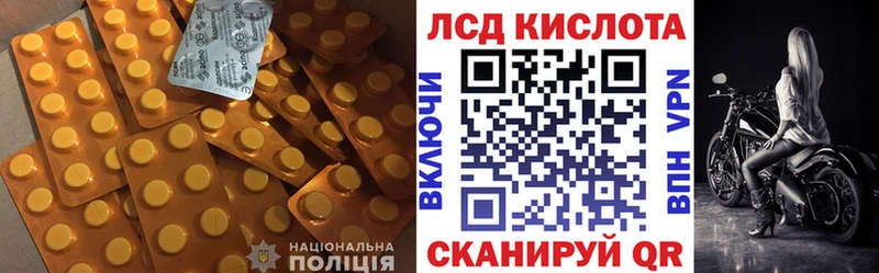 купить наркотик  Всеволожск  ЛСД экстази ecstasy 