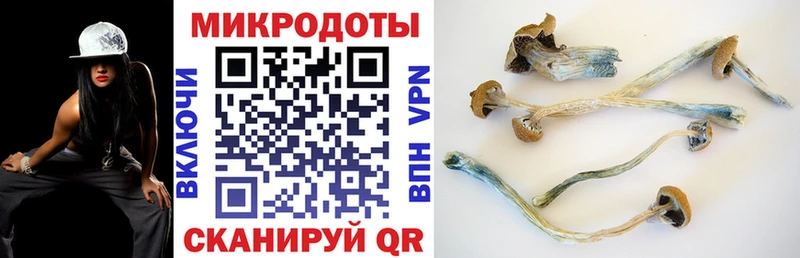 закладка  площадка формула  Псилоцибиновые грибы Psilocybe  Всеволожск 